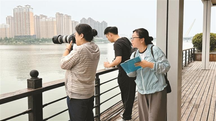 151种鸟类安家西安浐灞国家湿地公园 11年守护筑就“鸟类天堂”_fororder_图片4