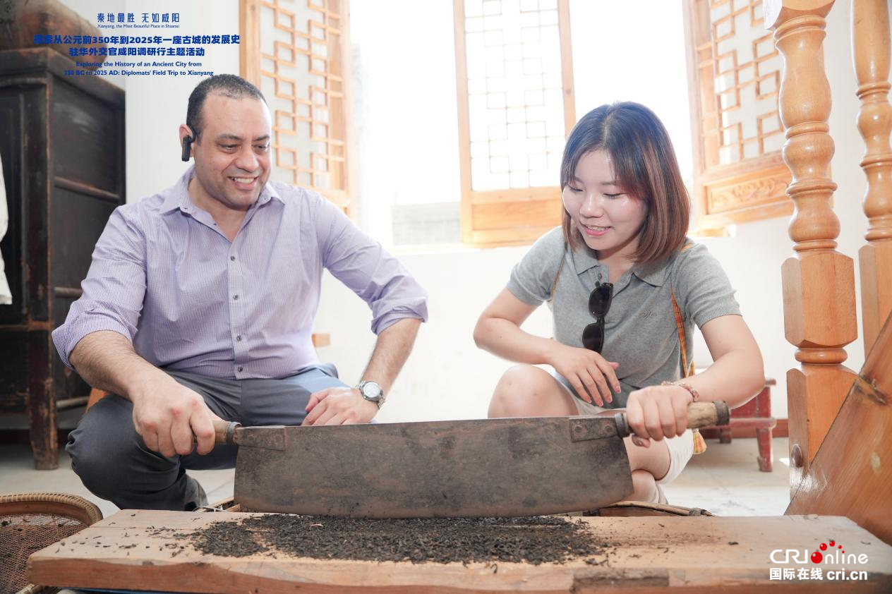 【秦地最胜 无如咸阳】20国驻华外交官咸阳行：零距离感知历史瑰宝与科创活力_fororder_图片4