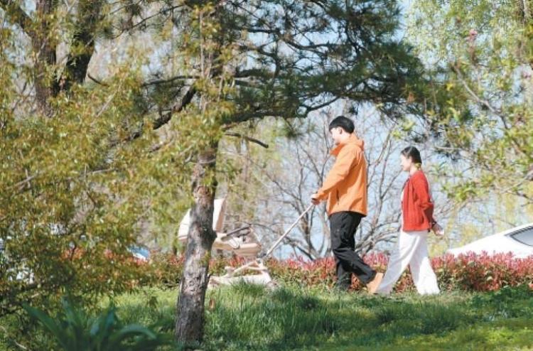 今天，你“Color Walk”了吗？_fororder_微信图片_20260402091117_1598_356