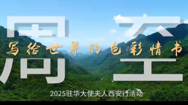 周至写给世界的色彩情书_fororder_微信图片_20251022093155_270_178