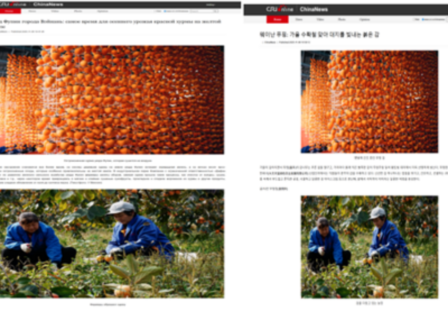 渭南：以文化之韵与农业之实 让世界读懂中国温度