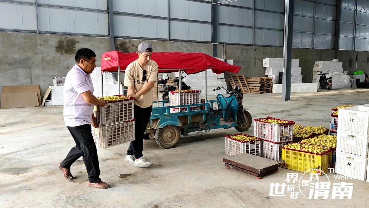 【老外在陕西】渭南大荔:村里来了个洋亲戚