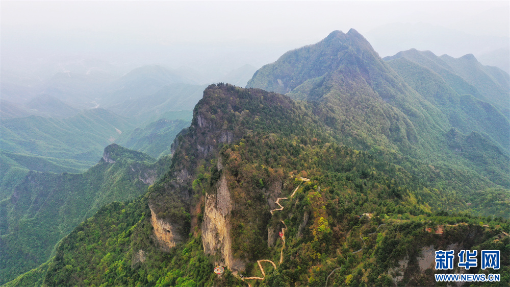 陕西天竺山景区：秦岭山间绿意浓
