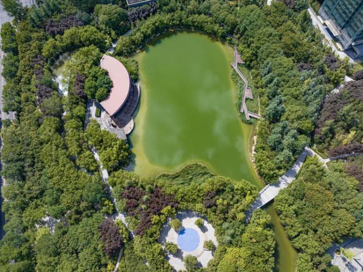 中湖公园 绿意盎然