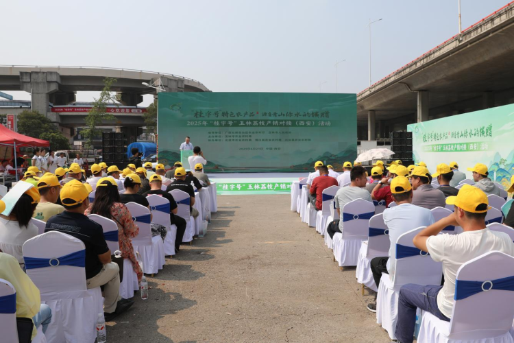 从岭南到长安：玉林荔枝“牵手”西安市场 搭建两地农业合作新桥梁_fororder_4·1