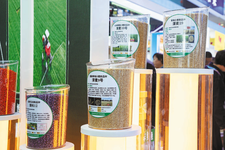 向世界递出渭南农业“金名片” ——渭南市农产品杨凌农高会参展侧记