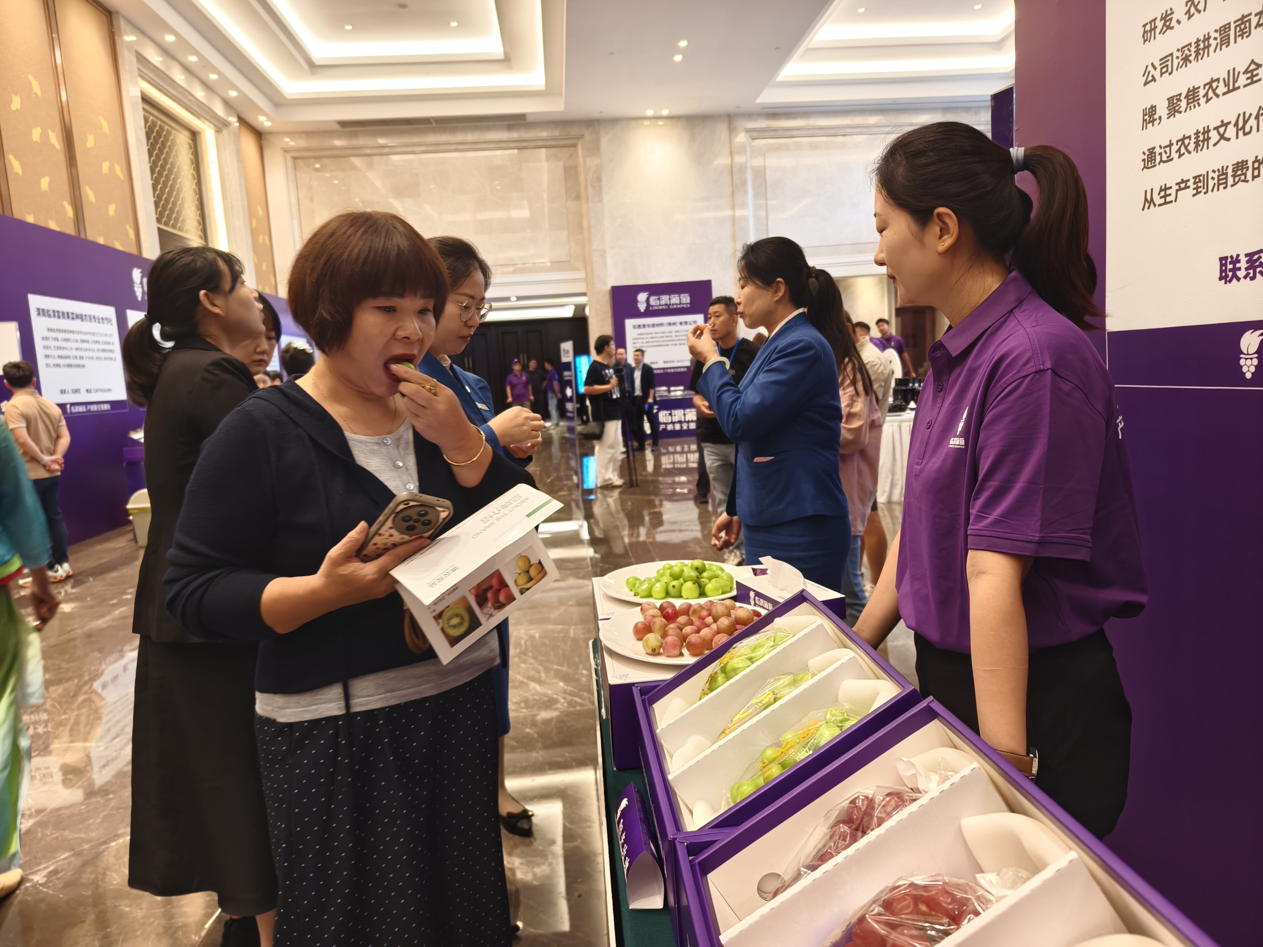 渭南市临渭区：一场葡萄盛会 焕发产业升级新活力_fororder_图片3