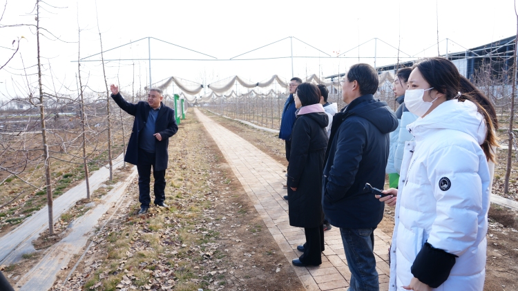 聚焦巩固拓展脱贫攻坚成果同乡村振兴有效衔接 多家中省媒体在陕开展新春走基层活动_fororder_微信图片_20260203152722_1133_356