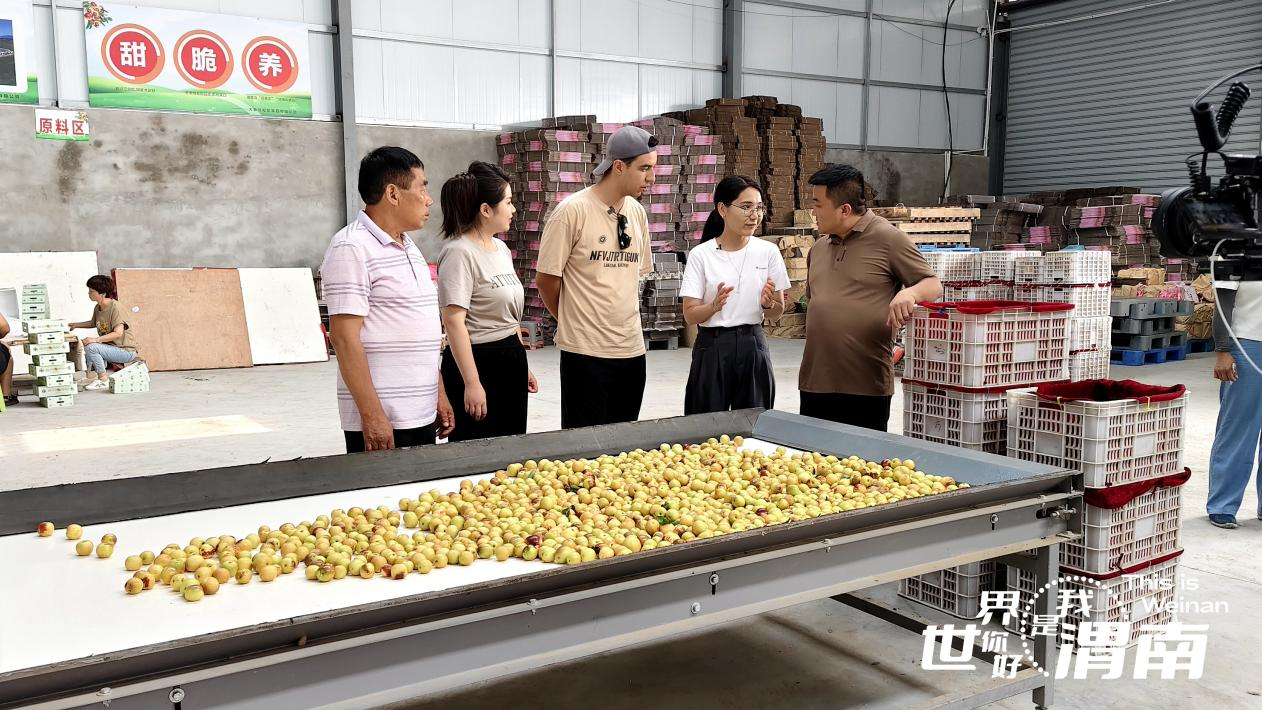 【老外在陕西】渭南大荔:村里来了个洋亲戚