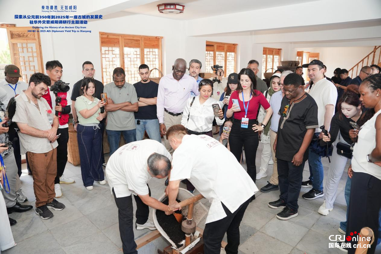 【秦地最胜 无如咸阳】20国驻华外交官咸阳行：零距离感知历史瑰宝与科创活力_fororder_图片3