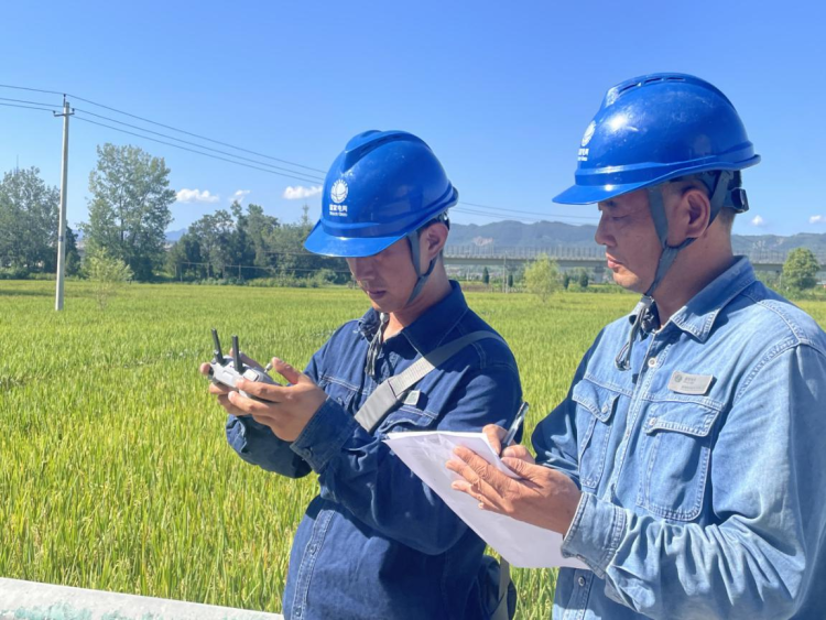 国网汉中市洋县供电公司：电力护航秋粮加工 助农增收动能满格