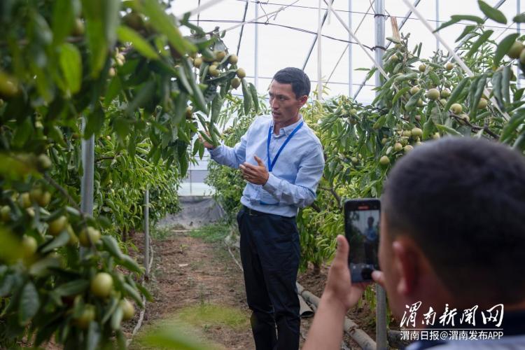 技传千里 丝路连心——中国-中亚五国职业农民培训项目实践综述