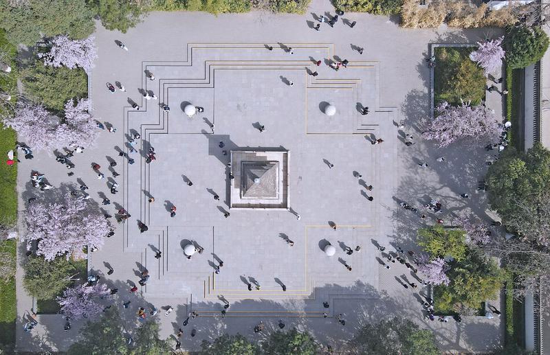 青龙寺赏樱人潮涌