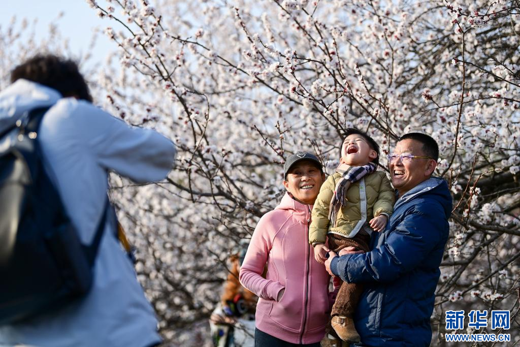 长安春日繁花开_fororder_微信图片_20260310091533_1353_356