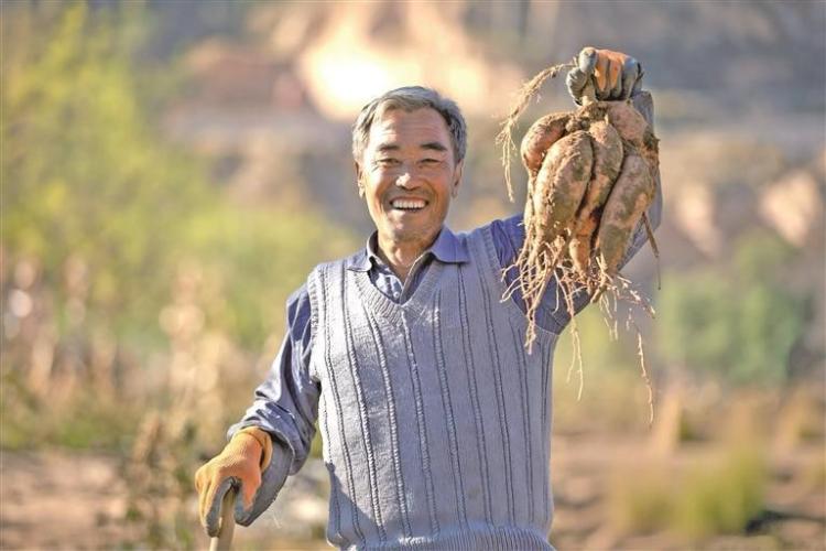 塞上沃野绘新卷 农业强市启新程——榆林以农业现代化谱写乡村振兴新篇章_fororder_微信图片_20260126083042_2811_127
