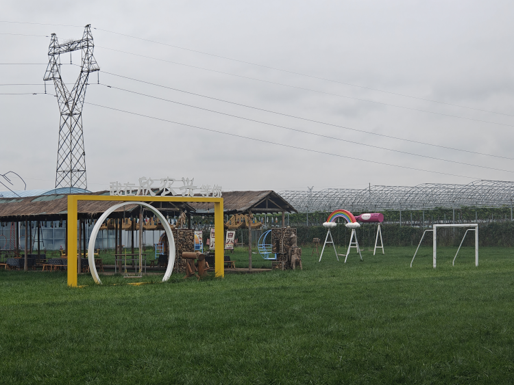 礼泉三韵：解码一座县域的文旅融合高质量发展之路_fororder_图片9