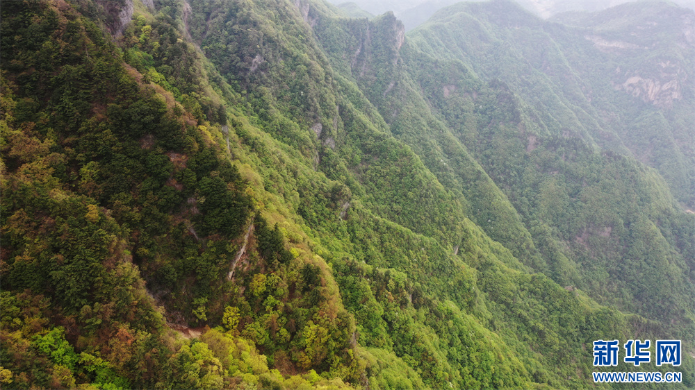 陕西天竺山景区：秦岭山间绿意浓