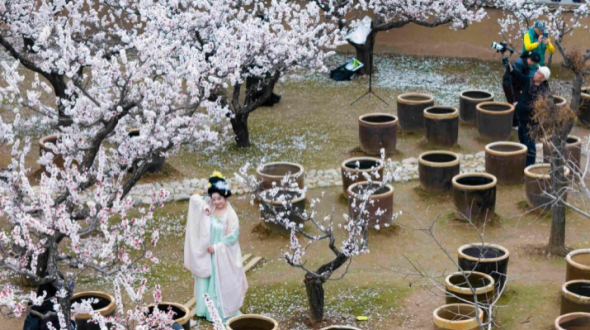 Spring Brings Promise as Flowers Bloom in Weinan