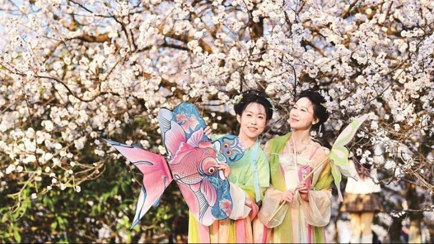 乘着公交 去邂逅最美春天