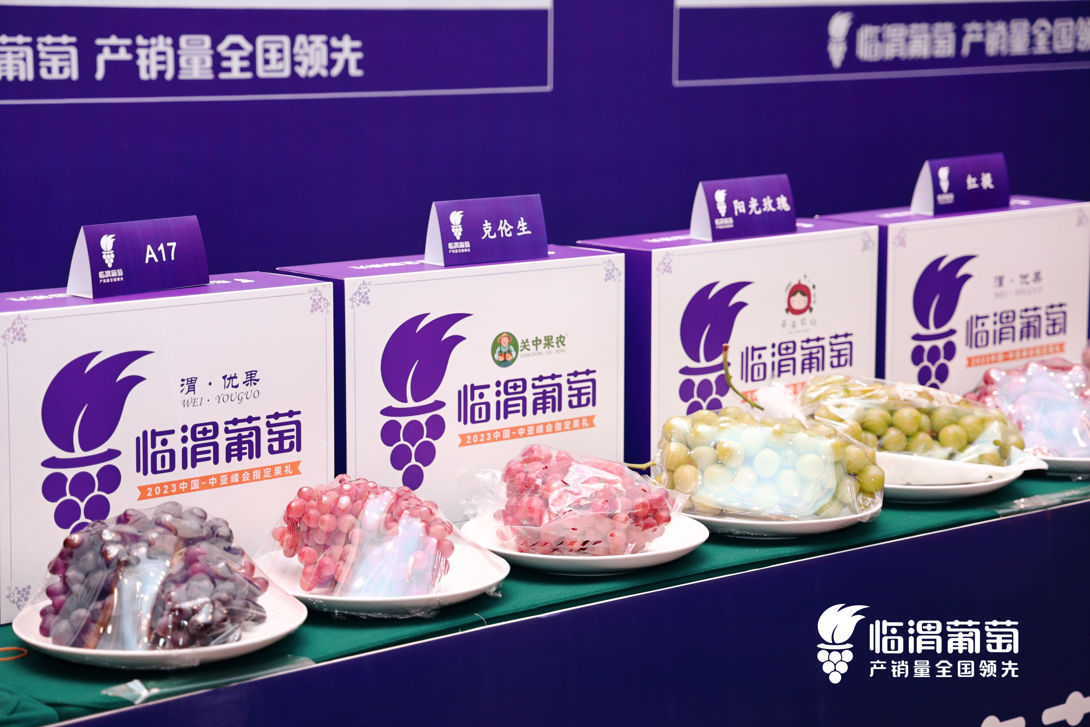 渭南市临渭区：一场葡萄盛会 焕发产业升级新活力_fororder_图片5