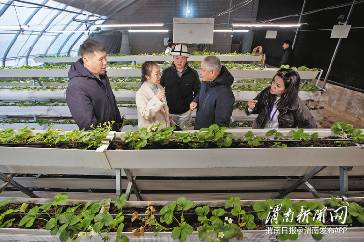 技传千里 丝路连心——中国-中亚五国职业农民培训项目实践综述