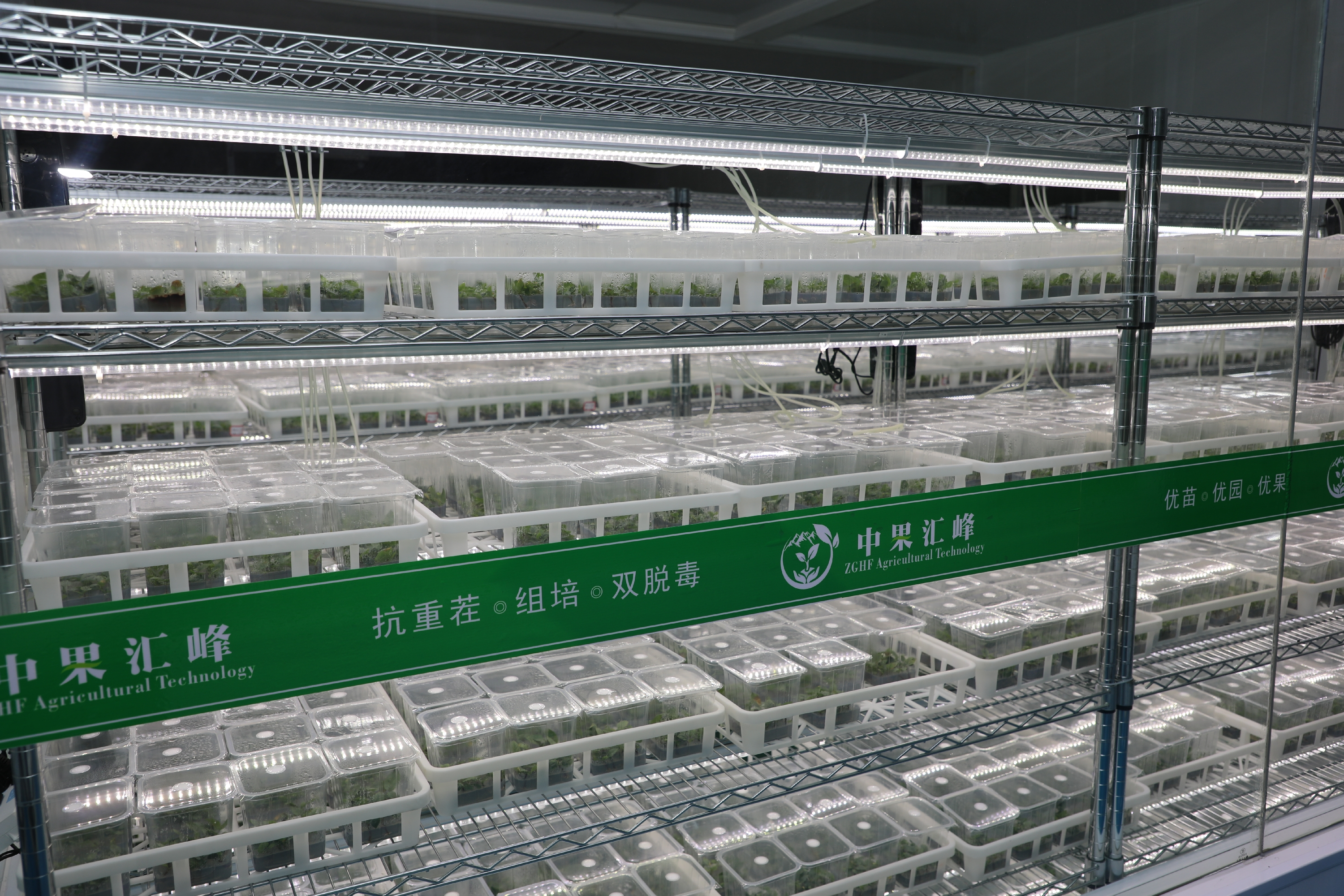 走出杨凌看示范∣静宁苹果“芯”潮涌动_fororder_图片1