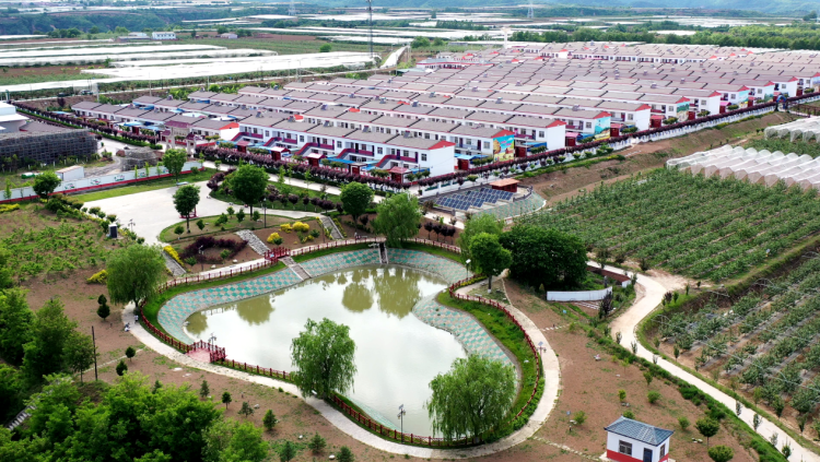延安黄陵：青春力量扎根乡土 共绘乡村振兴新篇_fororder_1·1