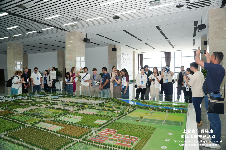 从“种子”到“技术”再到“成果” 上合青年何以惊叹杨凌？_fororder_图片3