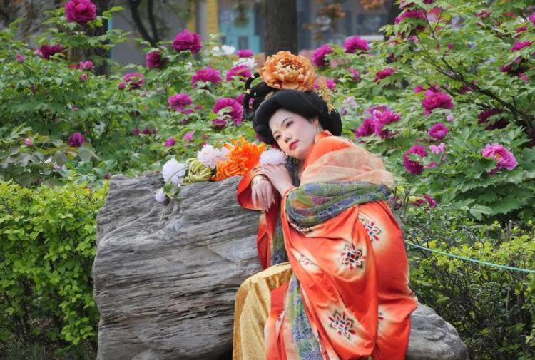 国色天香醉春风 游人如织赏芳华_fororder_微信图片_20260403085046_1606_356