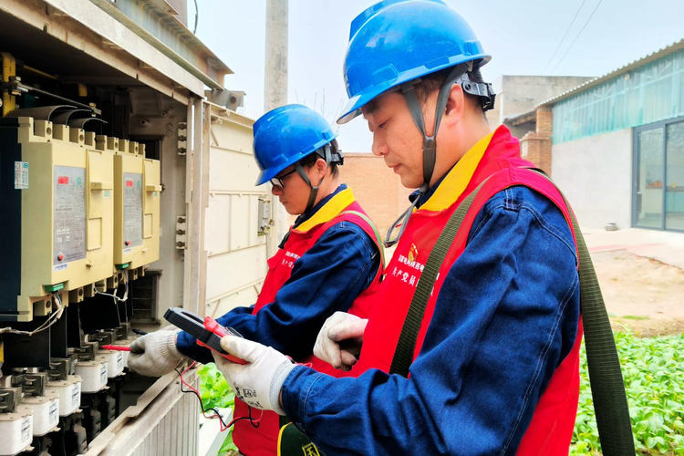 国网渭南供电公司:巡查线路优服务 全力保障冬灌用电