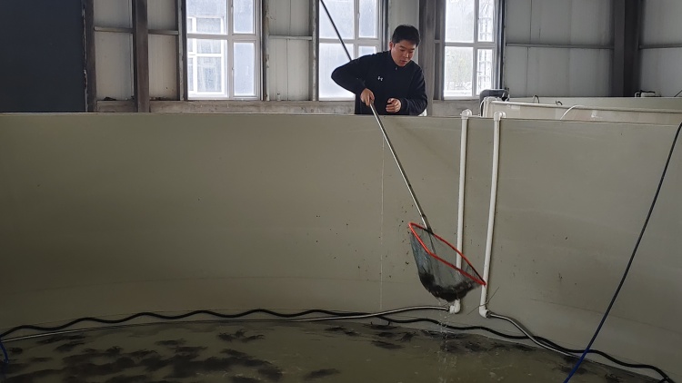 向“新”而行丨陕西白水：“苹果+渔业”的振兴新路径_fororder_WechatIMG3033