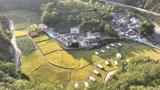 朱鹮翩跹 生态富民