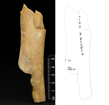 陕西重大考古发现！首次出土有“秦人”字样甲骨