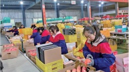 一颗苹果的数智化升级之路