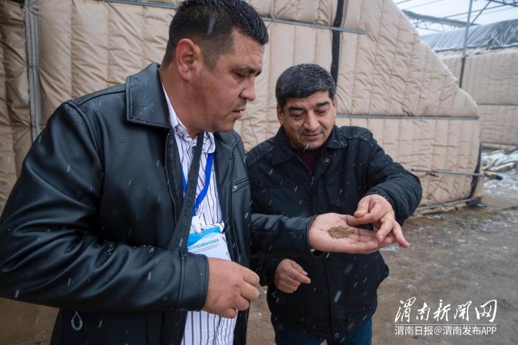 技传千里 丝路连心——中国-中亚五国职业农民培训项目实践综述