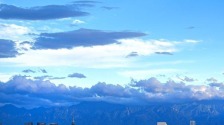 悠然见南山