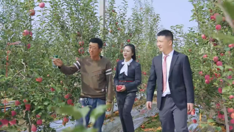 【“金”陕西·“融”世界 】从田间到指尖：金融“活水”浇灌三秦农香_fororder_图片1