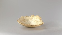 泾阳蒋刘遗址发现西周中晚期遗存 为探讨该时期周人在泾河下游地区的经略活动提供重要材料