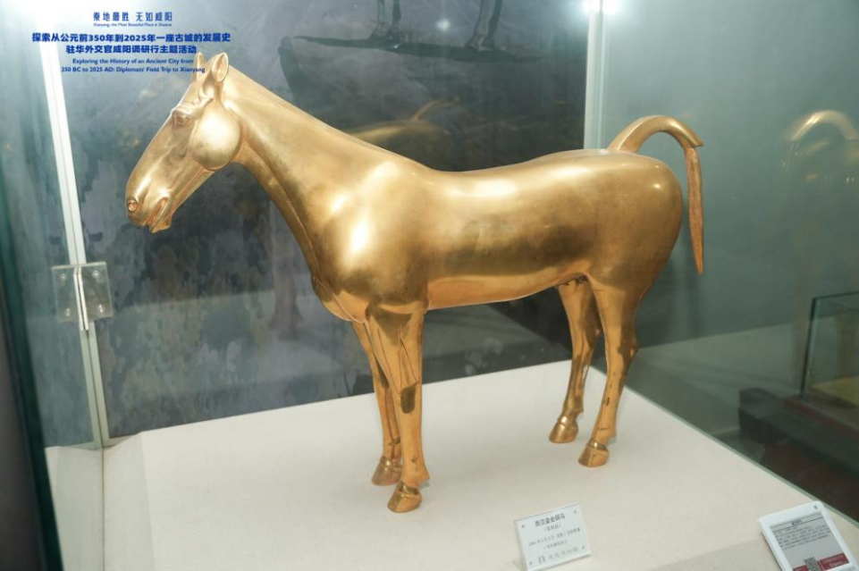 天下共此心 从“东方金字塔”叩响世界文化共通脉搏_fororder_3