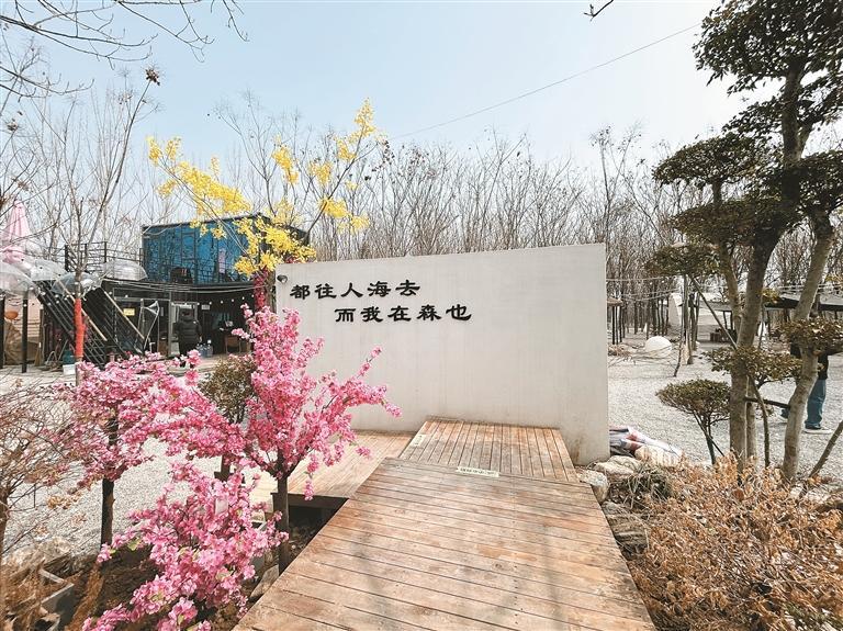 唤醒沉睡土地 绘就振兴画卷_fororder_微信图片_20250317102250
