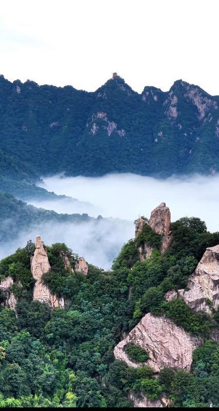 翠华山迎来秋季首场云海