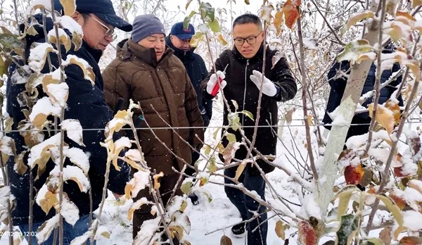 杨凌示范区：发挥农业科教优势 与世界共享中国减贫方案_fororder_1·3