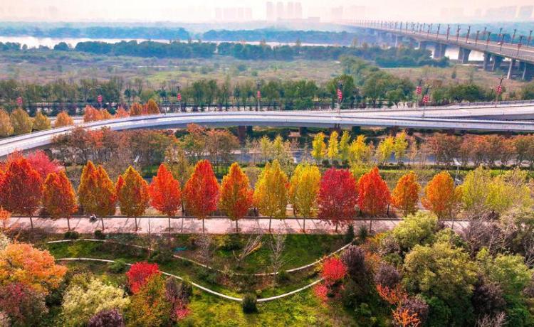 秦汉新城渭河北岸冬日盛景