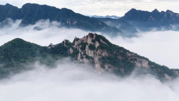 翠华山迎来秋季首场云海