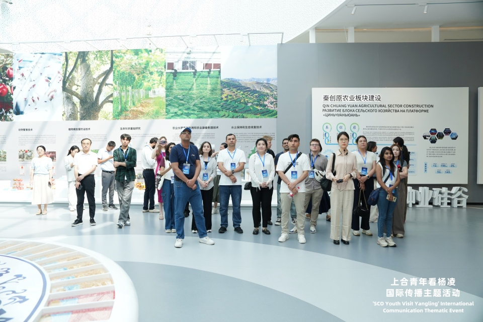 上合青年看杨凌活动启动 首站看上合组织农业基地硕果盈枝_fororder_图片3