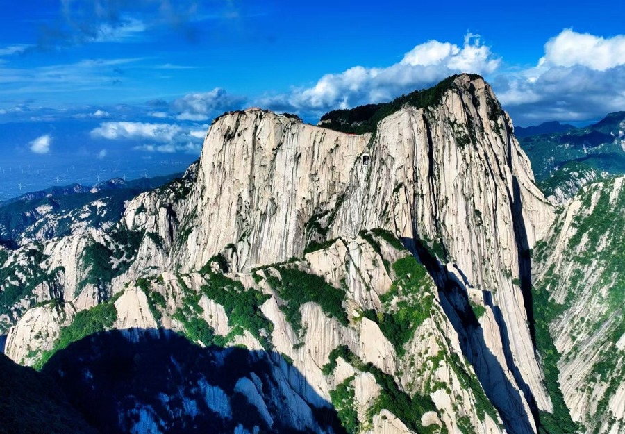 文化“出海”的中国“渭”道