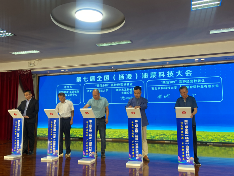 第七届全国（杨凌）油菜科技大会在陕西杨凌召开_fororder_图片3
