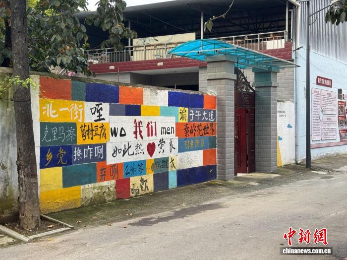 从城市到乡村：探索青年就业新选择