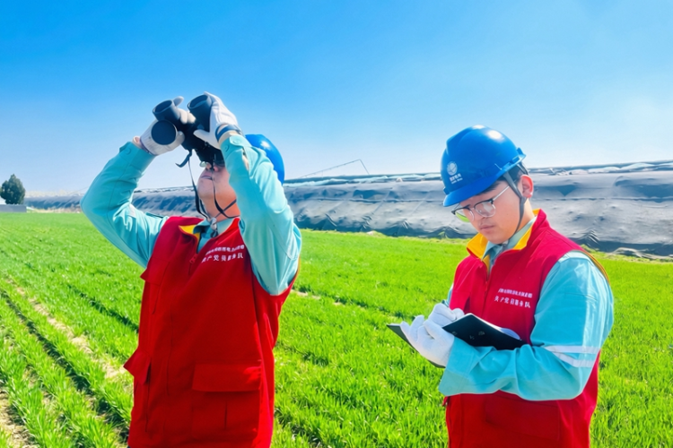 陕西渭南：电润沃野暖春耕_fororder_图片5