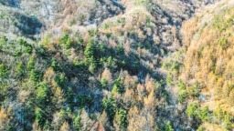 “看病建档”让秦岭山林重焕活力